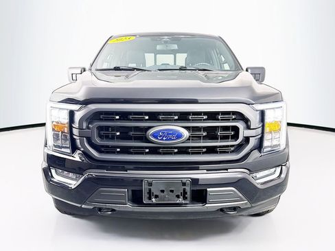 Used 2023 Ford F150 XLT w/ Equipment Group 302A High image 2