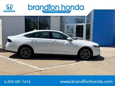 Used 2024 Honda Accord EX image 7