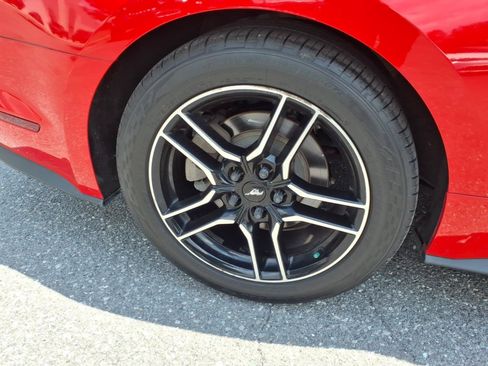 Used 2019 Ford Mustang Premium RWD image 11