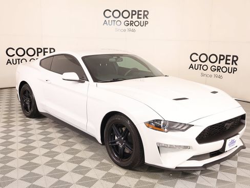 Used 2019 Ford Mustang Coupe RWD image 1