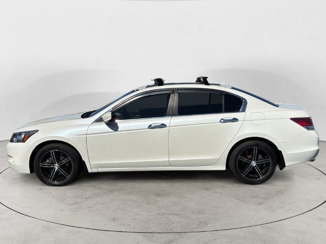 Used 2010 Honda Accord EX-L image 8