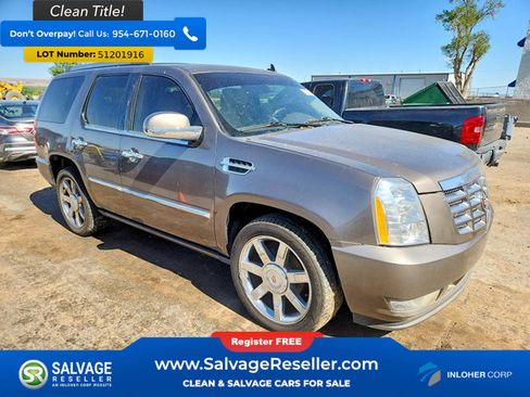 Used 2013 Cadillac Escalade Luxury AWD/4WD image 5