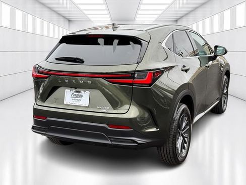 Certified 2022 Lexus NX 250 AWD image 5