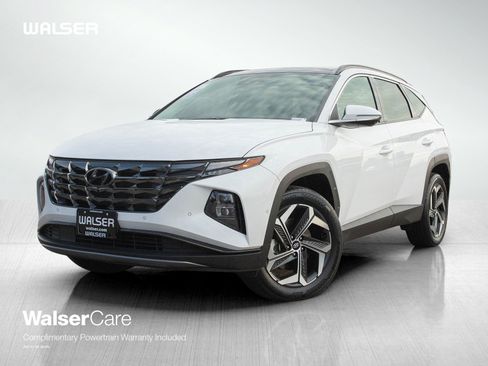 Used 2024 Hyundai Tucson Limited AWD/4WD image 1