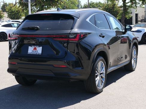 Used 2025 Lexus NX 350h AWD w/ Cold Area Package image 4