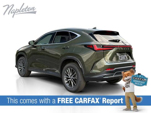 Used 2023 Lexus NX 350 AWD image 3