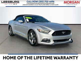 Used 2017 Ford Mustang Convertible w/ Equipment Group 051A RWD video 1