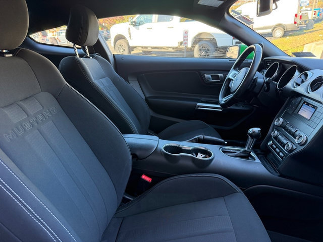Used 2019 Ford Mustang GT RWD image 10