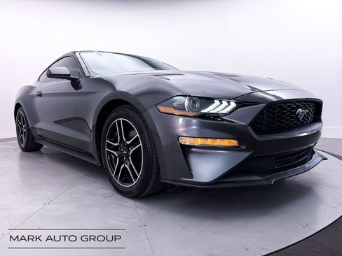 Used 2019 Ford Mustang Coupe w/ Equipment Group 101A RWD image 1