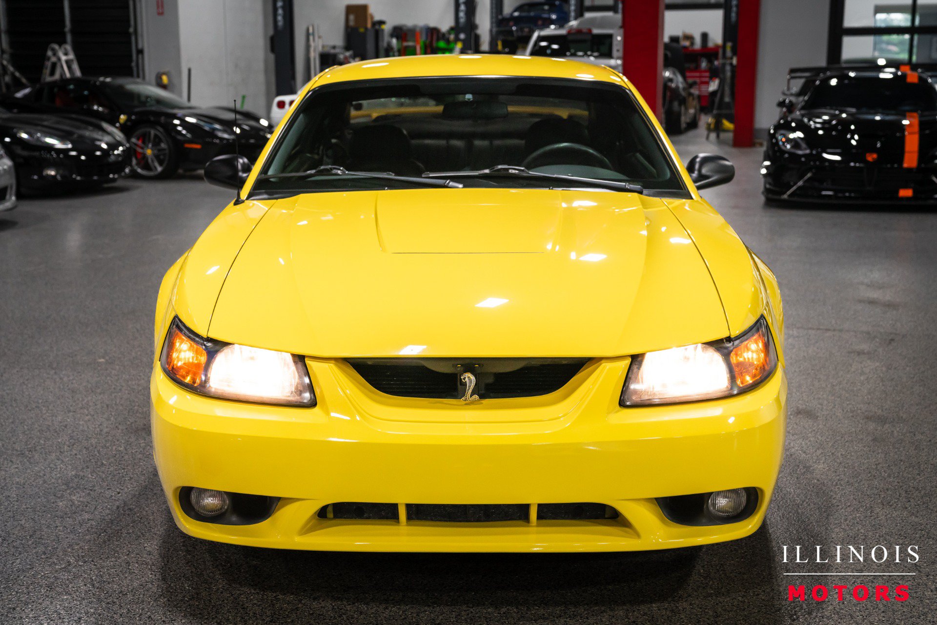 Used 2001 Ford Mustang Cobra RWD image 8