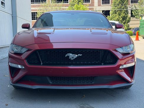 Used 2019 Ford Mustang GT Premium w/ Enhanced Security Package RWD image 5