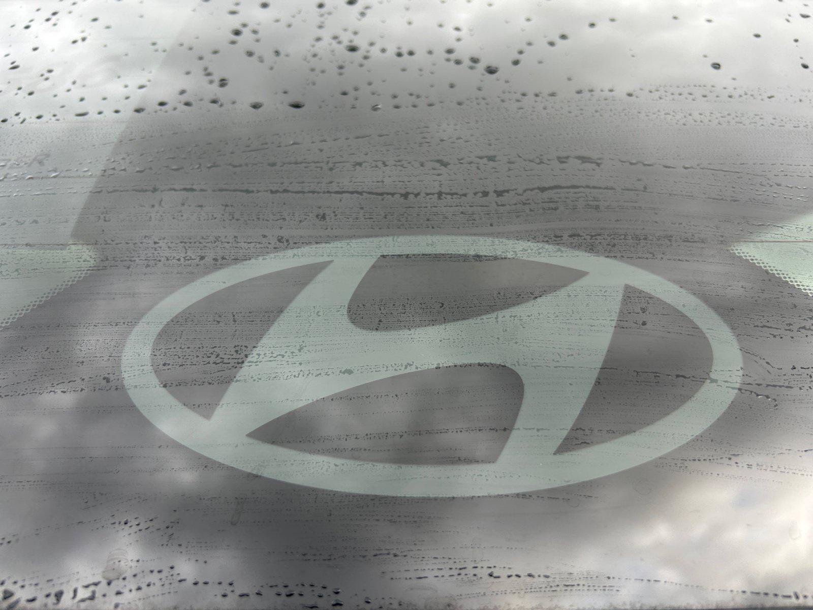 New 2026 Hyundai Ioniq 9 SEL AWD/4WD image 28