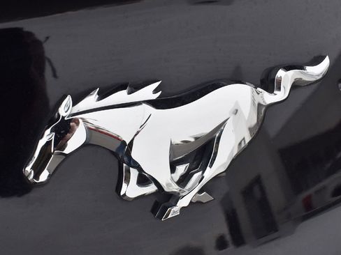 Used 2021 Ford Mustang Premium image 8