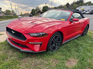 Used 2019 Ford Mustang Premium video 2