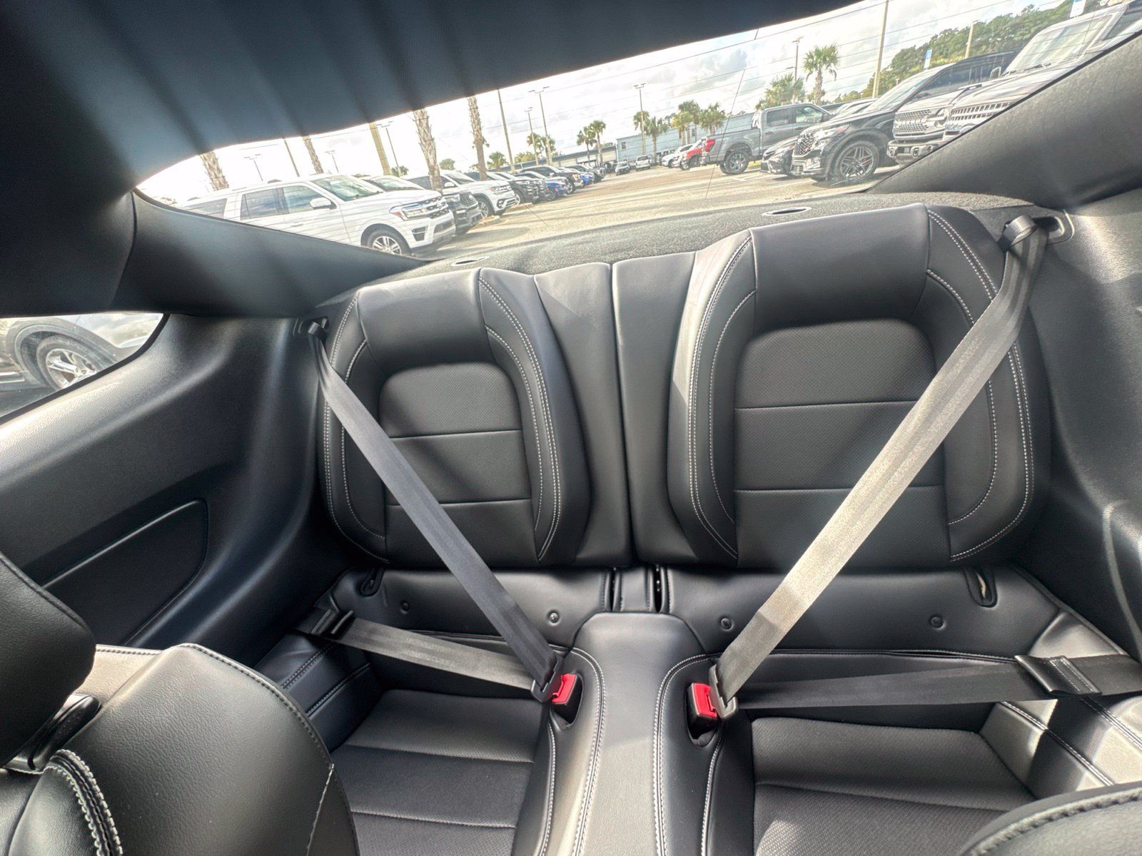 Used 2019 Ford Mustang Premium w/ Equipment Group 201A RWD image 16