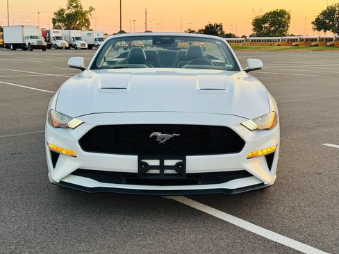 Used 2023 Ford Mustang Premium RWD image 2