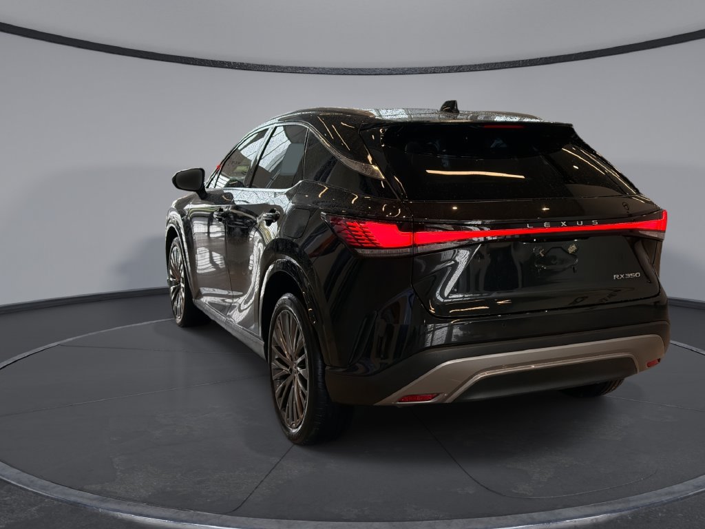 Certified 2023 Lexus RX 350 FWD w/ Cold Area Package image 10