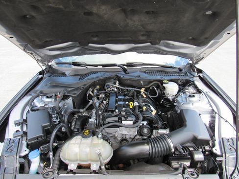 Used 2021 Ford Mustang Coupe w/ Equipment Group 101A RWD image 27