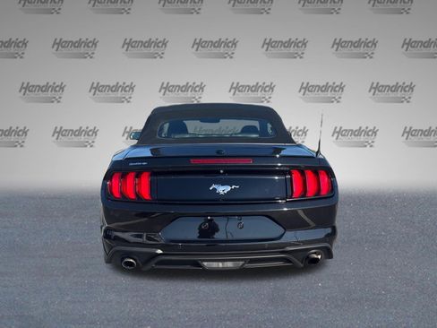 Used 2019 Ford Mustang Premium RWD image 6