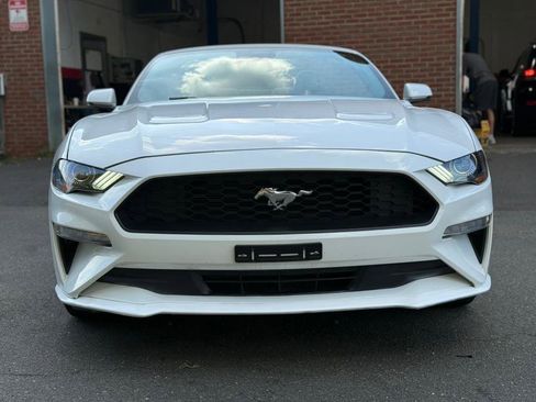 Used 2022 Ford Mustang Premium w/ Equipment Group 201A image 3