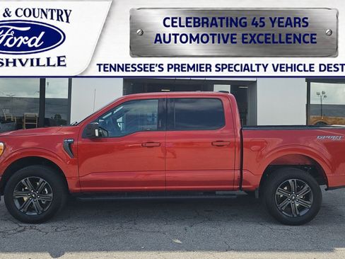 Used 2023 Ford F150 XLT w/ Equipment Group 302A High AWD/4WD image 1