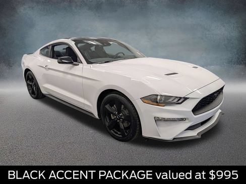 Used 2021 Ford Mustang Coupe w/ Equipment Group 101A RWD image 3