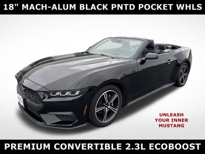 Used 2024 Ford Mustang Premium