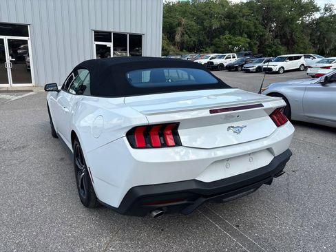 Used 2024 Ford Mustang Premium image 7