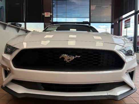 Used 2019 Ford Mustang Premium RWD image 4