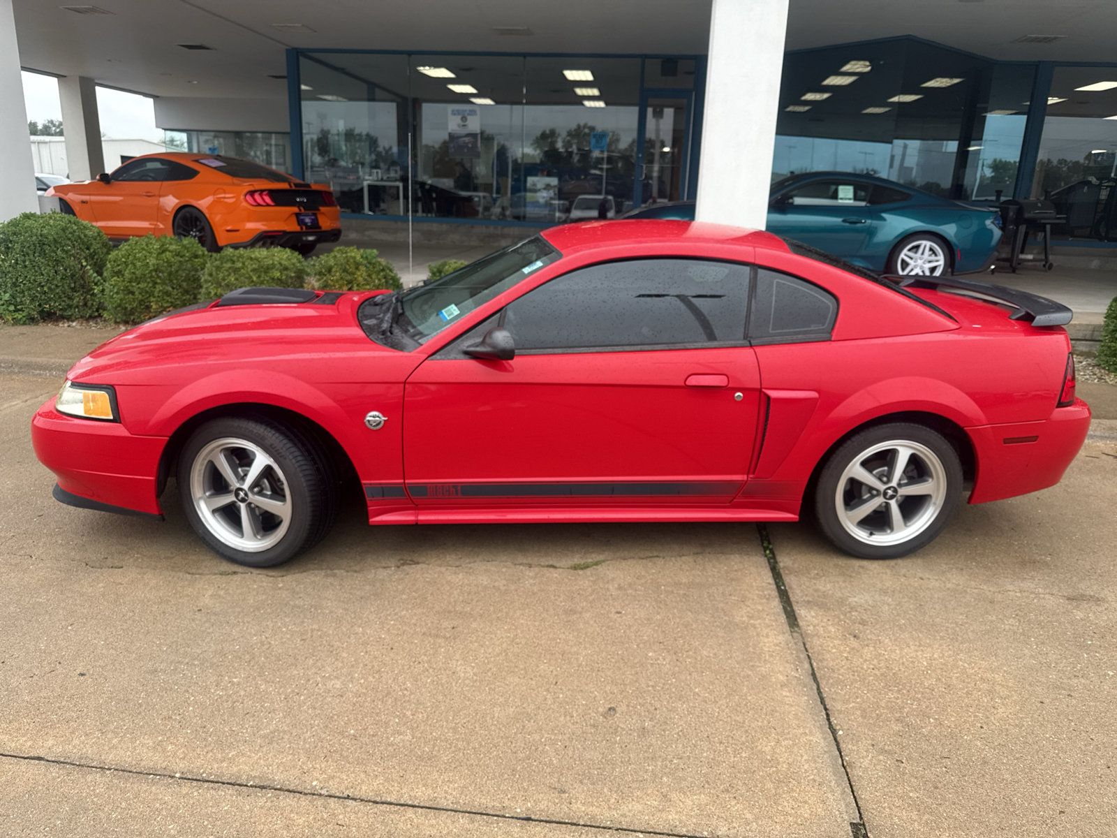 Used 2004 Ford Mustang Mach 1 RWD image 9