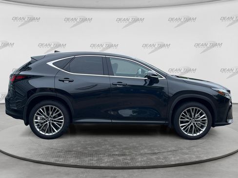 Used 2025 Lexus NX 350h AWD w/ Luxury Package image 9