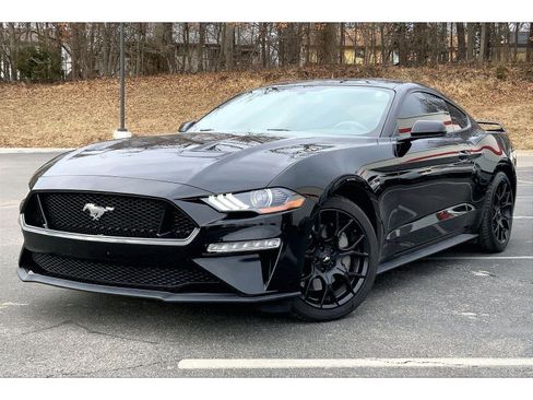 Used 2019 Ford Mustang Coupe w/ Ecoboost Performance Package image 1