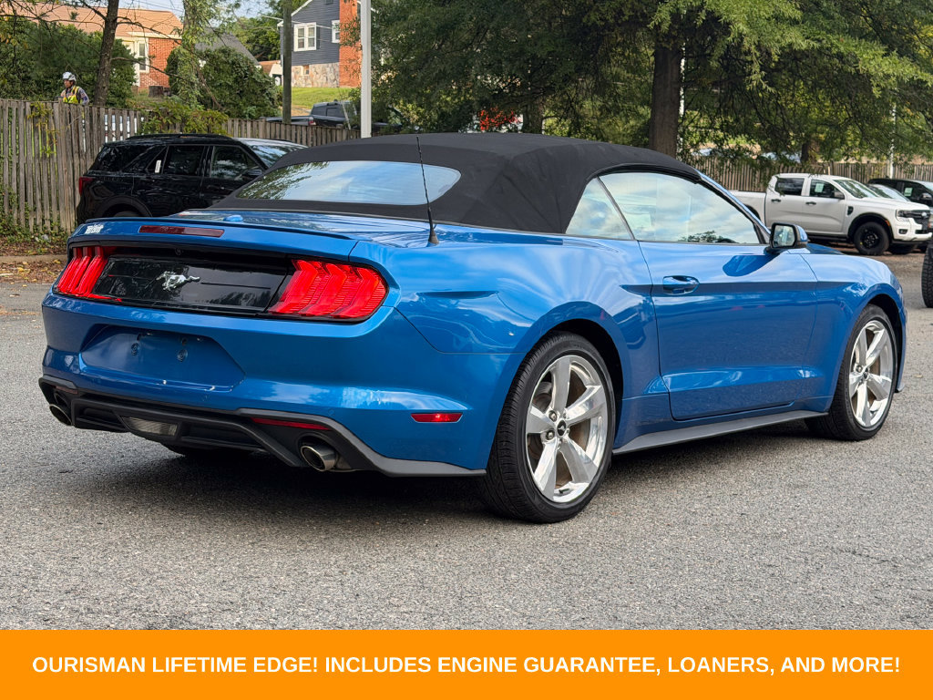 Used 2019 Ford Mustang Premium w/ Equipment Group 201A RWD image 7