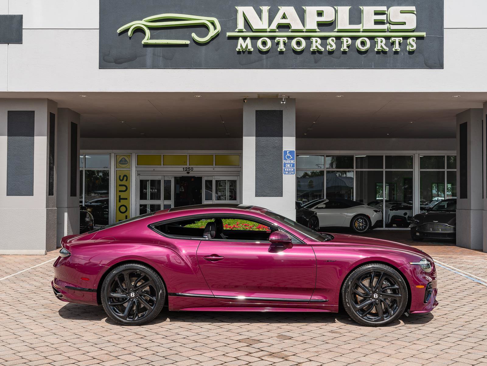 Used 2025 Bentley Continental GT Speed AWD/4WD image 41