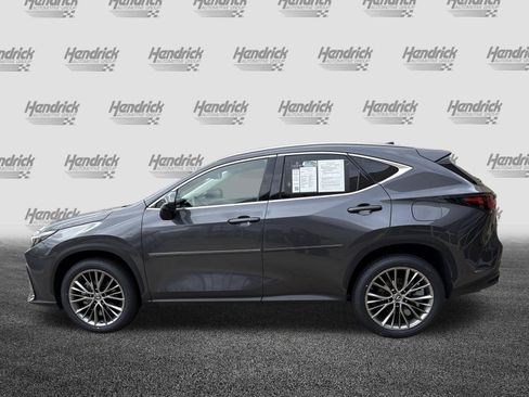 Used 2023 Lexus NX 350h AWD w/ Vision Package image 7