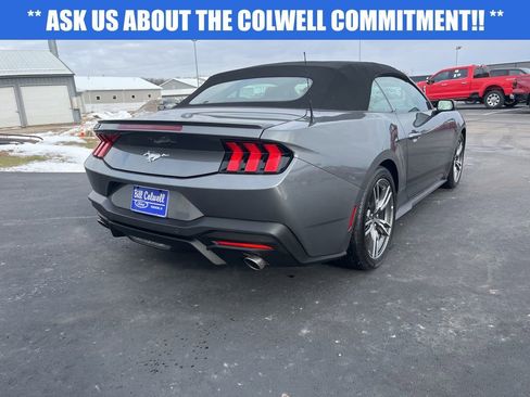 Used 2025 Ford Mustang Premium w/ Wheel & Stripe Package image 4