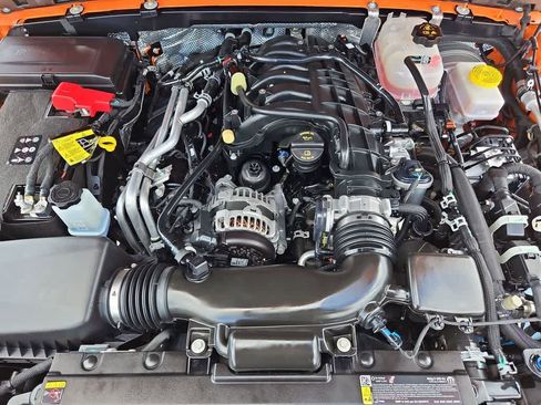 Used 2025 Jeep Wrangler Unlimited Rubicon w/ Convenience Group image 15