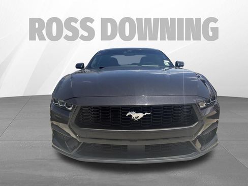Used 2024 Ford Mustang Coupe RWD image 2