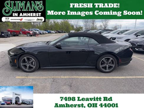 Used 2024 Ford Mustang Premium image 1