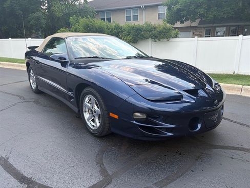 Used 2002 Pontiac Firebird Trans Am RWD image 4