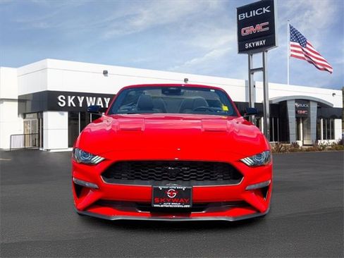 Used 2023 Ford Mustang Convertible w/ Mustang Nite Pony Package image 2