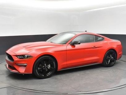 Used 2023 Ford Mustang Coupe w/ Equipment Group 101A