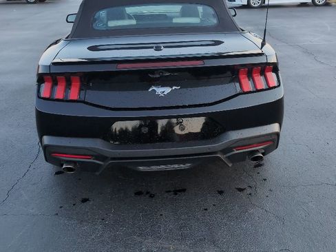 Used 2024 Ford Mustang Premium RWD image 4