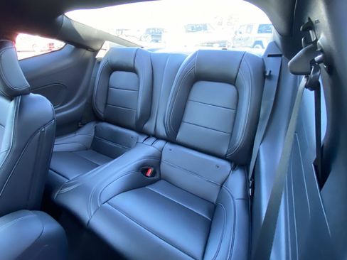 New 2026 Ford Mustang GT Premium w/ Mustang Nite Pony Package image 11