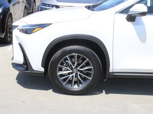Certified 2025 Lexus NX 350h AWD w/ Cold Area Package image 4