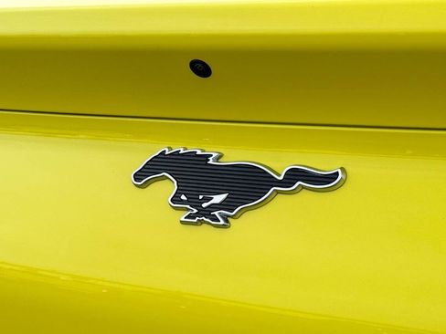 Used 2025 Ford Mustang Mach-E Select AWD/4WD image 15
