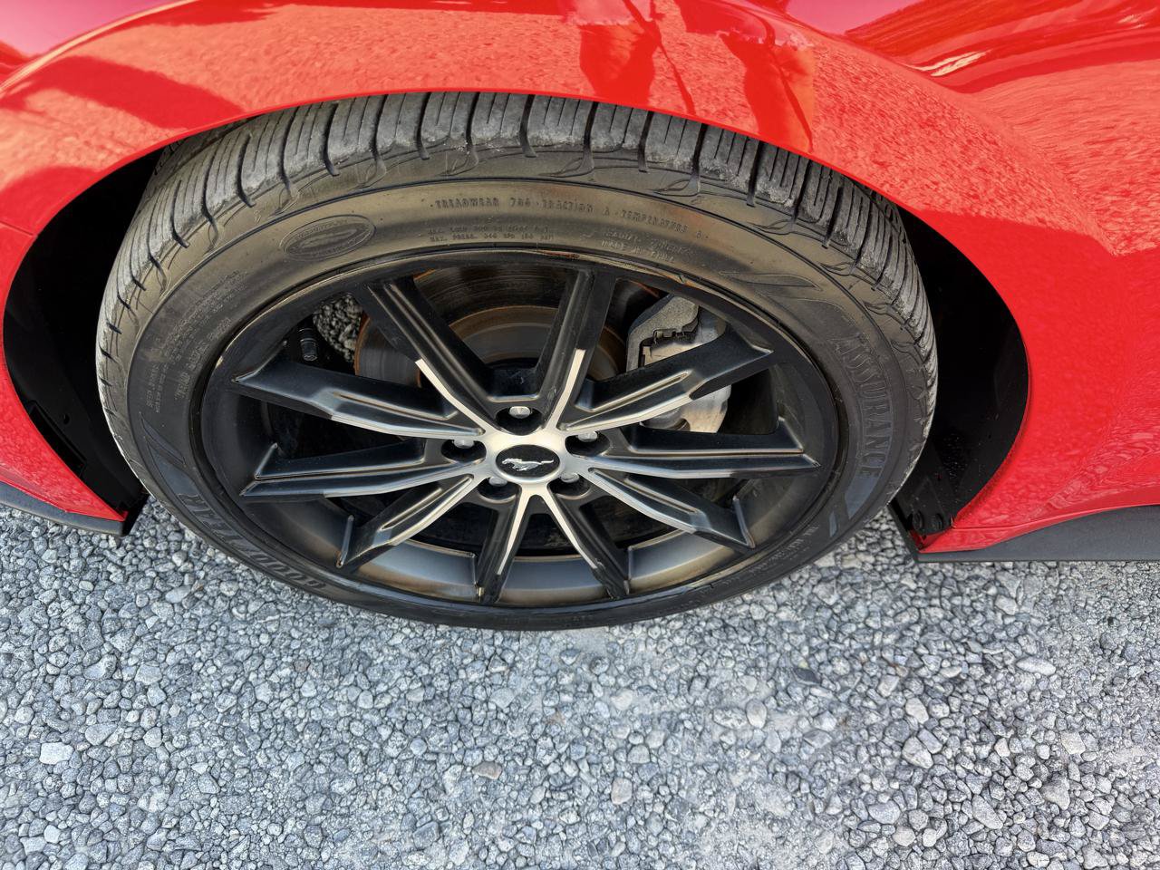 Used 2019 Ford Mustang Premium w/ Equipment Group 201A RWD image 18