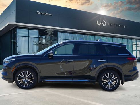 Certified 2023 INFINITI QX60 Sensory w/ Cargo Package image 6
