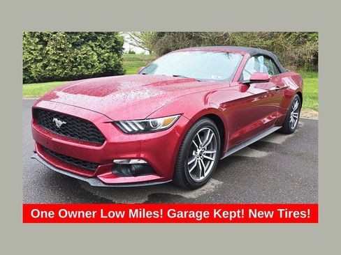 Used 2016 Ford Mustang Premium RWD image 1
