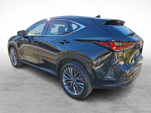 Certified 2022 Lexus NX 350h Premium image 4